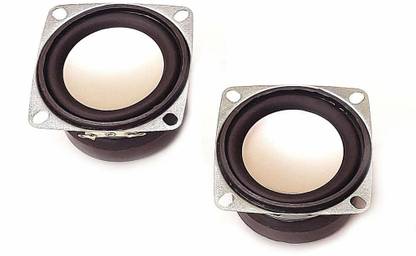 ERHIndia 2 Pcs Compact and Powerful 2 Inch Speaker 100 W Car Speaker