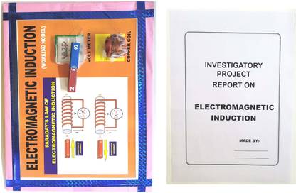 ONTEX ELECTRONICS FARADAY'S LAW OF ELECTROMAGNETIC INDUCTION WITH MAGNET & COPPER COIL WITH REPORT Educational Electronic Hobby Kit