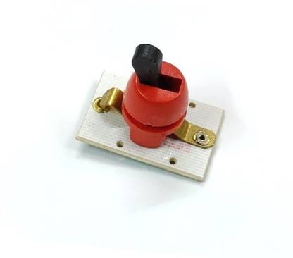 ERHIndia (1 Pc) Flash Light On Off Switch for Repair/Replacement 2 Position Switch Power Supply Electronic Hobby Kit