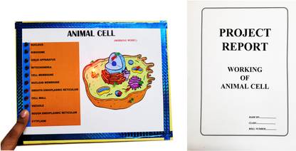 ONTEX ELECTRONICS Animal Cell Biology Working Model and Project with Printed Report Educational Electronic Hobby Kit