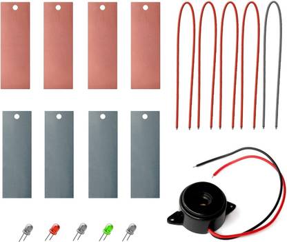 Iyzer Salt Water Battery Educational Electronic Hobby Kit