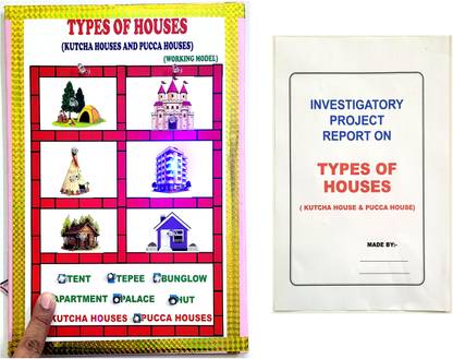 ONTEX ELECTRONICS Ontex Kutcha House and Pucca House Working Model and Project and Teaching Aid Educational Electronic Hobby Kit