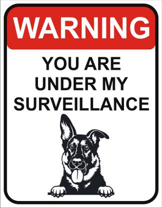 PrintoAd INDIA WARNING BEWARE OF DOG, High Quality Double Side Tape, SURVEILLANCE Emergency Sign