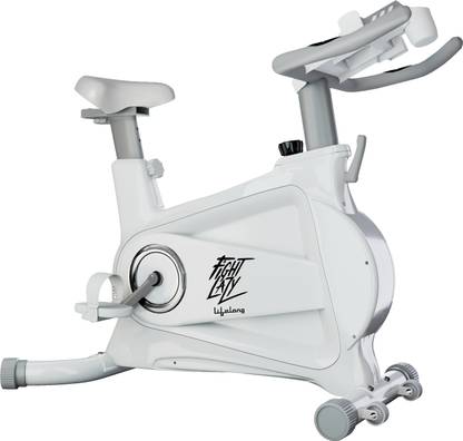 lifelong exercise bike