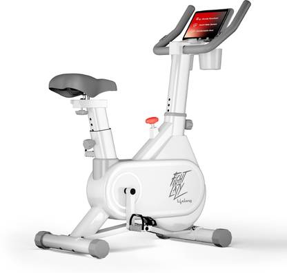 Lifelong LLSBB49 Fit Pro Spin Fitness Upright Stationary Exercise Bike
