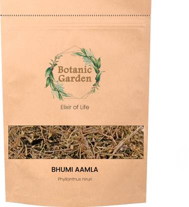 botanic garden Pure Phyllanthus Niruri Raw Herb | Chanca Piedra |Bhumi-Amla | AntiOxidant –100g