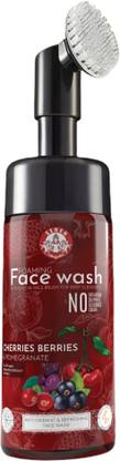 Phyto atomy Iisis Cherries Berries & Pomegranate Foaming  With Built-In Face Brush Face Wash