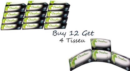OSSDEN Facial Tissue Face Tissue Soft Tissue ultra-Soft Tissue 2 Ply 100 Pull 200 sheet Per Box Pack Of 12 & 4 Tissue