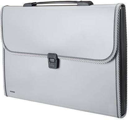 Bwinx PALSTIC Solimo Expanding File Folder with 13 Pockets, Handle, and Buckle Closure, for A4 Size Documents (Grey)