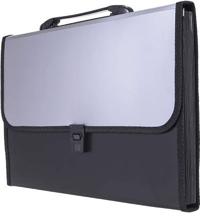 NIVIZEN Plastic Project File Organizer with Handle and 13 Pockets holds up to 900 sheets