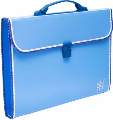 Skrill Plastic 13 Pockets Expanding File Folder for Documents, Certificates, A4/Foolscap/Legal Size File Organizer with Carry Handle