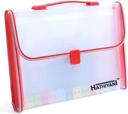 HATHIYANI Plastic Transparent Expanding File Folder, Accordion Document Organizer with Handle and 13 Pockets 4Pack