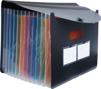 BRuSTRO EZ Expand A4 Folder 13 Pocket Expanding File Folder, Accordion Document Organizer for School, Home & Office