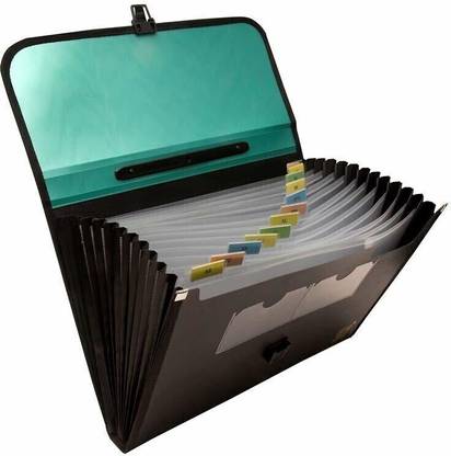 Rangwell plastic Presents Plastic File 13 Folder F/C Expanding Bag with Handle 5555 (Green, Black)