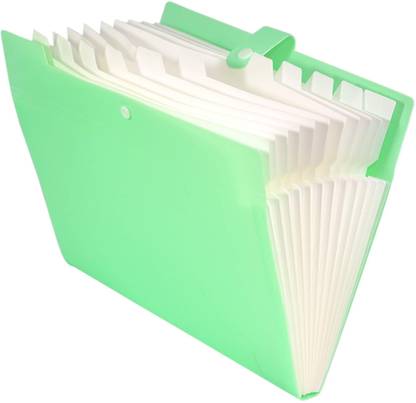 STORITE Polypropylene A4 Size 12 Pocket Documents File Folder Organizer with Snap Button Closure