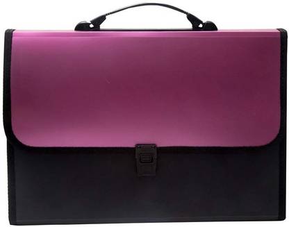 Bluedeal plastic Presents Plastic File Folder F/C Expanding Bag with Handle 5555