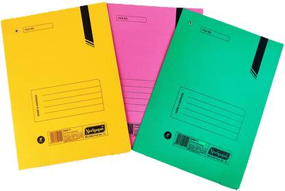 NEELGAGAN Record File No. 20 Office File Cover (26.0 cm x 35.5 cm)