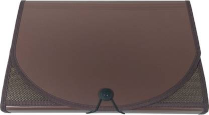 SHINING ZON Plastic 13 Pocket Expanding File Folder Multipurpose