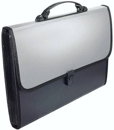 DECOLOGY Plastic 13 Pockets Expanding Piano File Folder Plastic Office Desktop File, Documents, Papers Folder Sorter Organizer Expanding Filing Box A4 Letter Size with Index Tab, Handle, Buckle - Multicolour