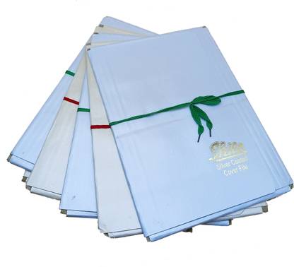 CRAFTWAFT Paper Board Silver Coated Shine Cover File Document Folder Four Fold COVER FILE
