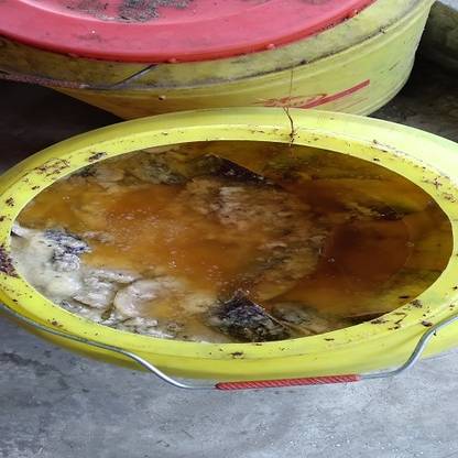JUST ONE CLICK coconut sweet Scent Fish Bait