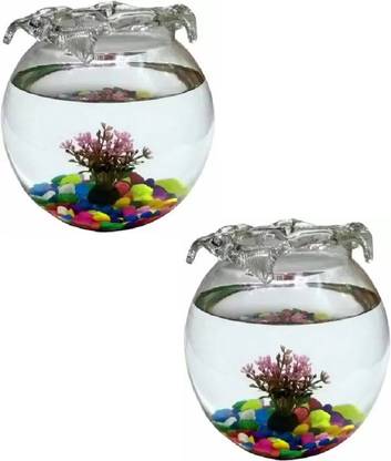 KAPDOLIYAS 5 L Fish Bowl