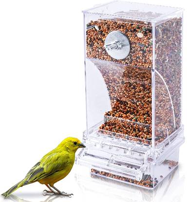Qpets Automatic Bird Feeder, Parrot Seed Feeders with Perch Acrylic Transparent Seed Window Bird Feeder Bird Feeder