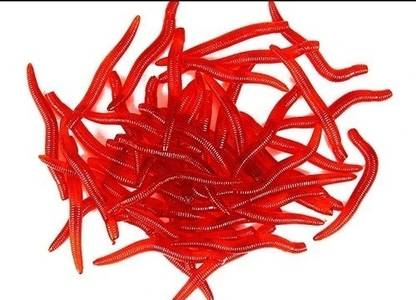 Afiazuh Soft Bait Silicone Fishing Lure