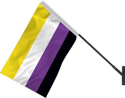 The Flag Company Non-Binary Pride Flag - NB Pride Genderqueer Gender Identity Flags (Wall Mount) Rectangle Outdoor Flag