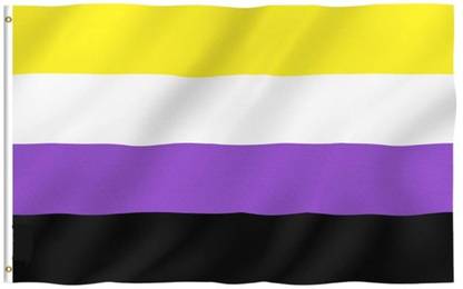 The Flag Company Non-Binary Pride Flag - Genderqueer Gender Identity Flags Rectangle Outdoor Flag