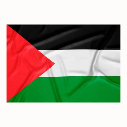 The Flag Company Palestine Flag 3ftx4.5ft - Outdoor Flag Rectangle Outdoor Flag