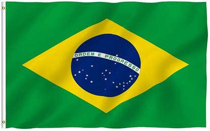 gustave Brazil Rectangle Outdoor Flag
