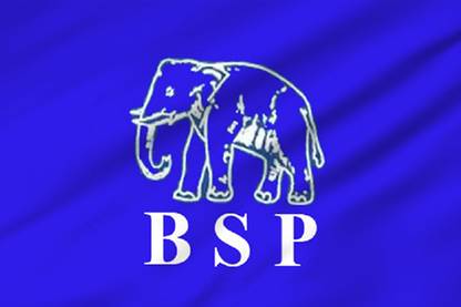 The Flag Company The Flag Company BSP Flag - 2ft x 3ft | Outdoor Flag Rectangle Outdoor Flag