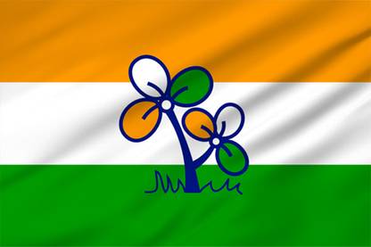 The Flag Company Trinamool Congress Flag - 4ftx6ft Rectangle Outdoor Flag