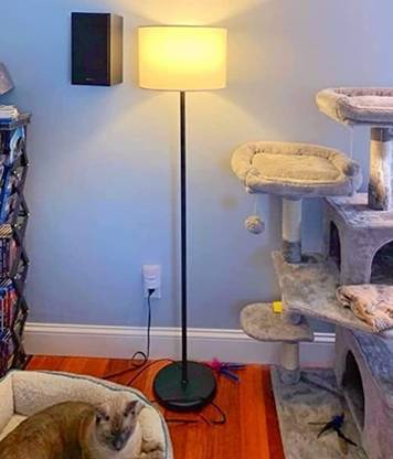 FEIXE Arc Floor Lamp