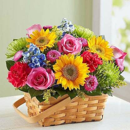 qsqs 213213 Plastic Flower Basket