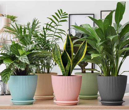 haker industri flower pot line 6" Plastic Flower Basket