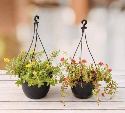 GLOBALWIDE Glko001 Fiber Flower Basket
