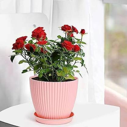 zvonko Plastic Round Flower Pots for Home Planters, Terrace, Garden (Pack Of 1) Plastic Flower Basket
