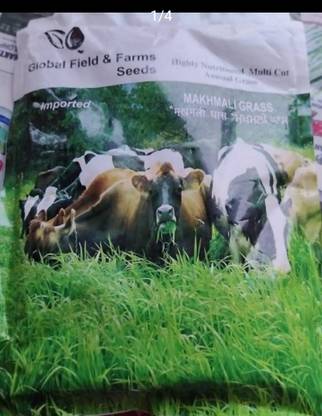 Makkhan ghas Flower Making Wire