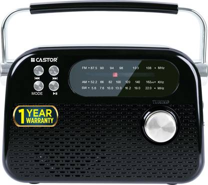 CASTOR FM820BT Portable Radio with FM & Bluetooth Speaker, USB MP3 Player, Rechargeable FM Radio