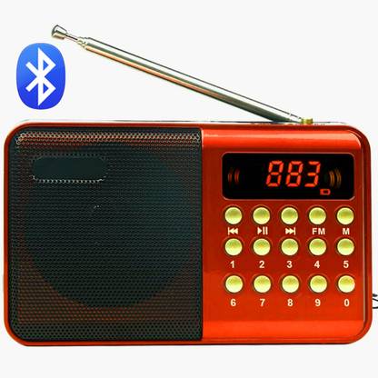 Fangtooth RM-BT615 Portable FM Radio Bluetooth Speaker Multimedia FM Radio