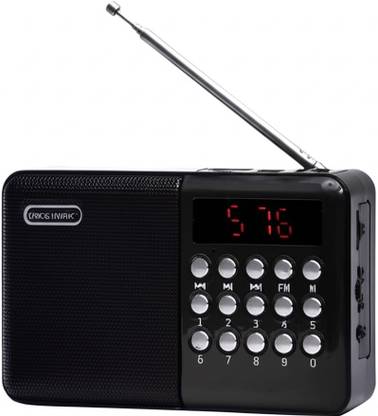 Clickwise Bluetooth Speaker with FM ,Pocket Size Blast , USB/SD Card and AUX FM Radio FM Radio