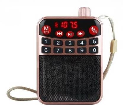 RelElseTech Mini M63VP FM Radio with Bluetooth Speaker - Portable & Wireless Sound System FM Radio