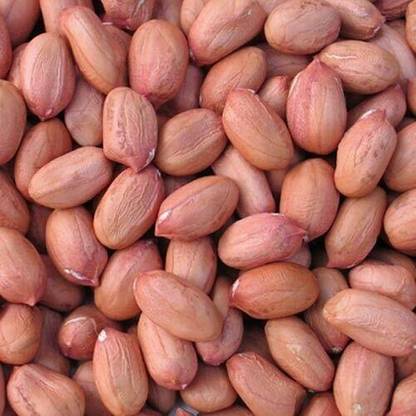 kotaliya Peanut (Whole)