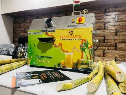 TECHNOMIZE 0.5 H.P. SLIM COMPACT SUGARCANE JUICER MACHINE 220 W Food Processor