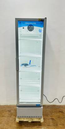 FRIGOGLASS 250 L Single Door Upright Freezer