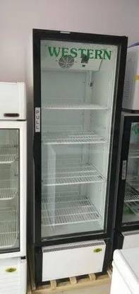 WESTERN 216 L Single Door Upright Freezer