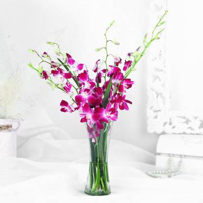 Purple Fresh Purple Orchids Bouquets