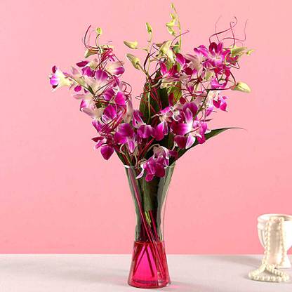 FNP Fresh Multicolor Orchids Bouquets
